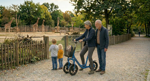 Go-On Opvouwbare loopfiets voor volwassenen - Basis model kleur Zwart